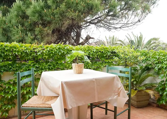 Les Mandariniers Йер