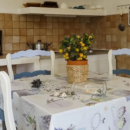 Les Mandariniers Aparthotel Hyères